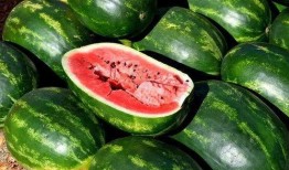 今日吃瓜的图片素材 初代网红雪梨被曝大瓜,揭秘背后惊人真相